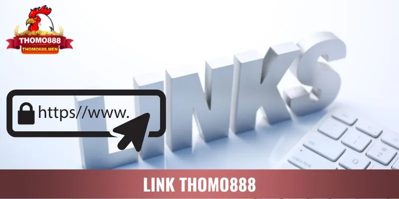 Link THOMO888 - Thông tin chi tiết về đường link truy cập