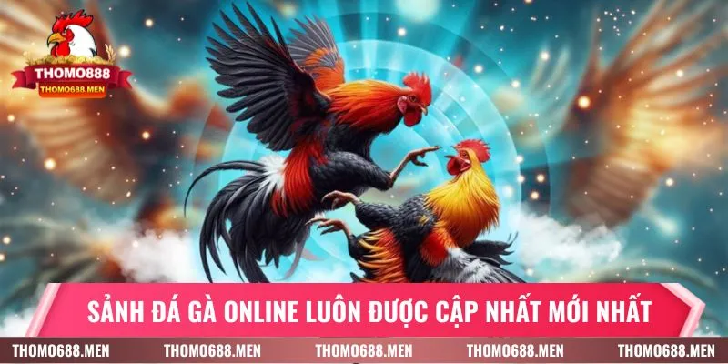 Sảnh đá gà trực tuyến luôn được cập nhật mới nhất